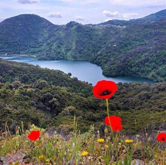 La Source 8 Ou 6 Couchages Villa Valle d'Alesani Екстериор снимка